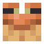 Minecraft Basic